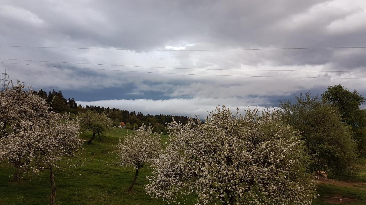 Ferienwohnungen Klimbacher Wolfsberg Zewnętrze zdjęcie