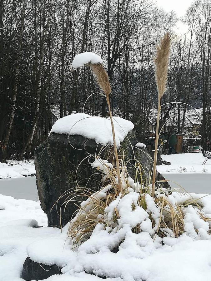 Ferienwohnungen Klimbacher Wolfsberg Zewnętrze zdjęcie