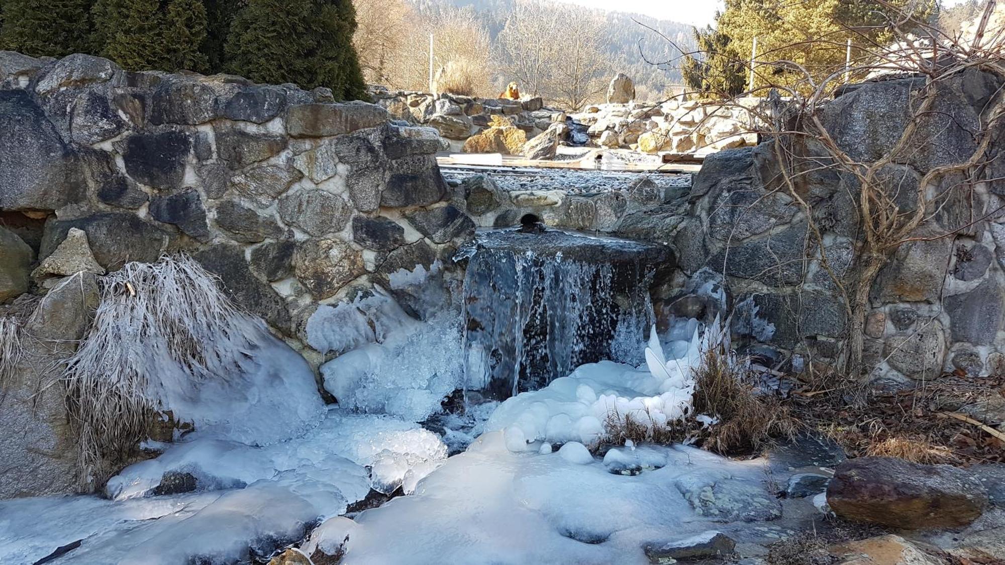 Ferienwohnungen Klimbacher Wolfsberg Zewnętrze zdjęcie