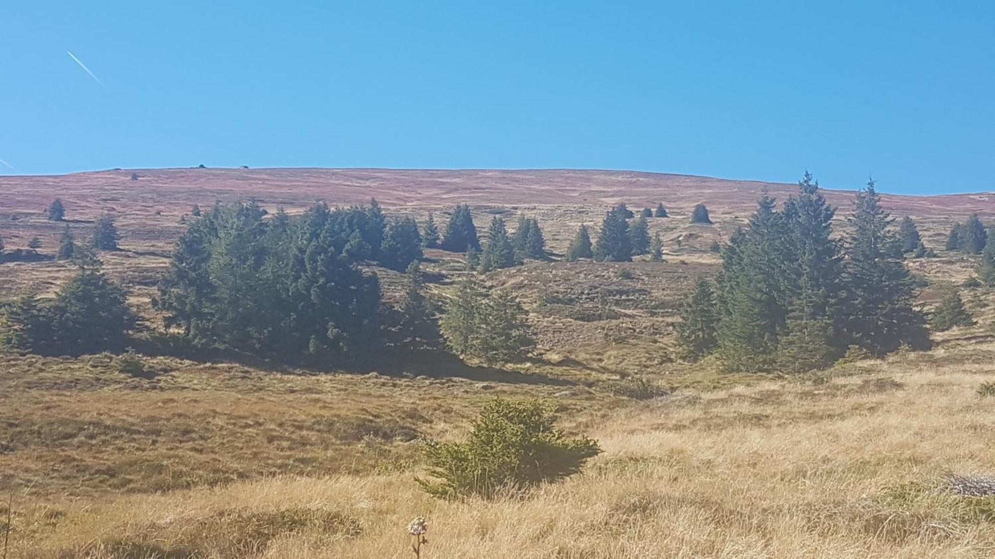 Ferienwohnungen Klimbacher Wolfsberg Pokój zdjęcie