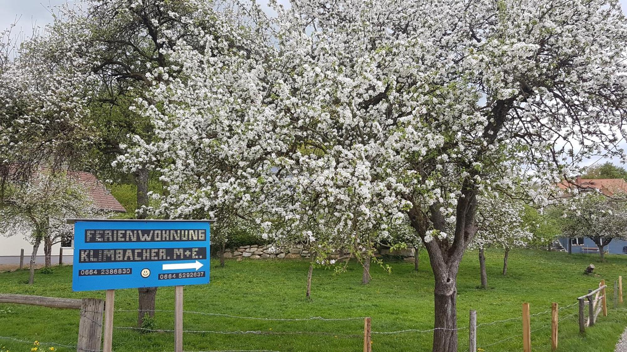 Ferienwohnungen Klimbacher Wolfsberg Pokój zdjęcie